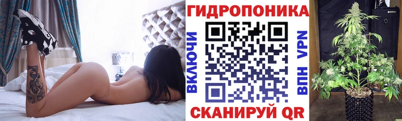 Конопля SATIVA & INDICA Благовещенск